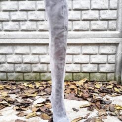 Alternative view of Cizme peste genunchi din piele intoarsa gri Carmen